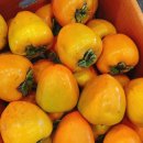 대봉상회 이미지