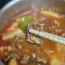 더신선플러스 | 신선해서 만족했던 더한우플러스 한우, 국거리 정육 후기