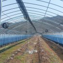 김세종농장 이미지