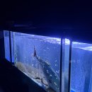 광어생각 | 남산광어 메뉴, 웨이팅, 예약 내돈내산 후기