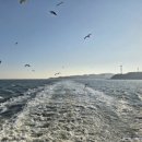 하얀배 민박 이미지