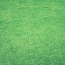 OK비디오 이미지