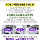 인선소아과의원 이미지