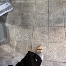 Hair(헤어)이든 | [hair] 강남역 미용실 이든헤어 강남역점에서 복구클리닉 받은 후기