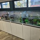 도마뱀있ZOO