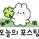 농협장성군로컬푸드직매장 이미지