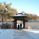 고요산책 이미지