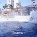 용평솔한증막 이미지