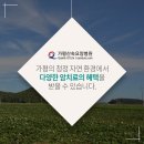 가평산속요양병원 이미지