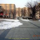 힐링포차 이미지