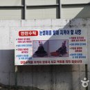 금오랜드 눈썰매장 Daum카페