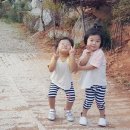 수아인