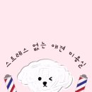 댕발소 이미지