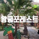 왕궁농장 | 왕궁포레스트 전북 익산 가볼만한곳 물놀이터 키즈카페