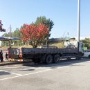 소사벌레포츠타운 소사벌인조잔디구장 이미지