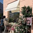[서울/팝업] 성수 데이지크 플래그십십 스토어, 팝업 &#39;봉투 골라담기&#39; 이벤트 후기 (봉투터짐 주의)