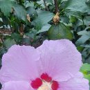 오천그린광장 이미지