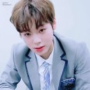 현재 여초를 강타하고 있는 프로듀스101 박지훈 연습생 이미지