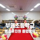 부영병설유치원 이미지