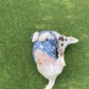 포그니유치원 이미지