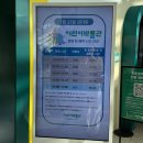 부산해양박물관 | 부산 아이랑 놀거리｜영도 해양박물관 수족관, 어린이박물관 후기