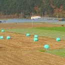 영신자전거 이미지