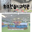 기획전시 「습지를 가다」 | [화포천습지과학관]경남아기랑 창원가까운 김해 신상체험관 솔직후기 예약방법 재방문안함