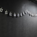 똥강아지네 이미지