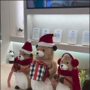 주니어소아치과의원 이미지