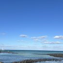 그리고세화해변점게스트하우스제주구좌오션뷰감성숙소 이미지