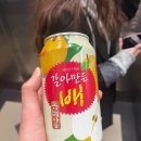 초계원고기국수