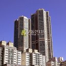 동부순환로4 이미지