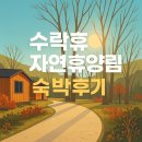 장유숙공인중개사사무소 | 수락산 동막골 자연휴양림 수락휴자연휴양림 숙박후기 (feat. 초록빛오후 방 후기)