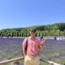 Day 1,2 - 삿포로 | 오도리공원, 스스키노 | 후라노, 비에이투어 - 마이리얼트립(라쿠투어)