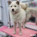 힝구샵