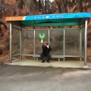 신산5리 Daum카페