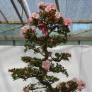 장수공원 이미지