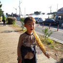 투명카약타기 네이버블로그