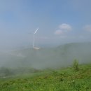 야생화답사 이미지