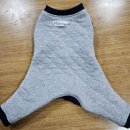 문화애견 이미지