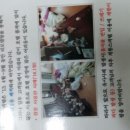 스파크텔 네이버블로그
