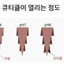 퍼머넌트 이미지