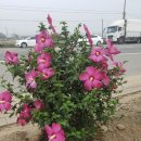 국도주유소 이미지