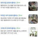외동반림로-4 | 창원 보타미 가드닝 박쥐란 부작 원데이클래스 후기