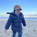 심바는 크리스마스 이미지