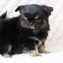 구개농장 이미지