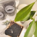 친환경 식물 메이커 | 그린포커스 펠릿형 바이오차 “환경도 살리고, 집안 공기도 바꿔주는 작은 변화