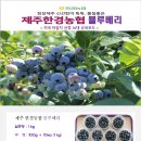 한경농협복지타운 이미지