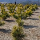 보광농원 이미지