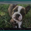 서천무지개분수대 이미지